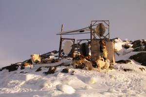 DSCN3687     